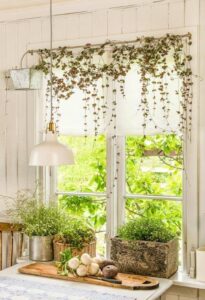 Красиви идеи за градина на закрито – свежест и красота