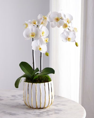 Орхидея – какво символизират различните цветове