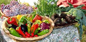 Как да си направите зеленчукова градина