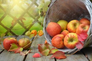 Преход от лято към есен: съвети за градината