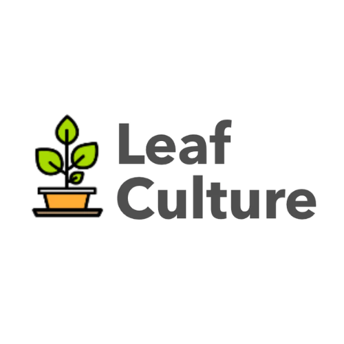 Leaf-Culture-Logo-HD